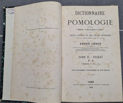 André LEROY: Dictionnaire de Pomologie.
Paris...