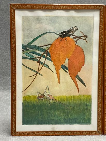 R. LOYS 
Deux aquarelles japonisantes à décor...