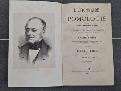 André LEROY: Dictionnaire de Pomologie.
Paris...