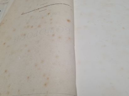 André LEROY: Dictionnaire de Pomologie.
Paris...
