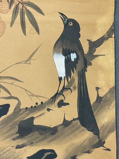 Kakémono japonais XX°.
Pies sur une branche
Aquarelle...