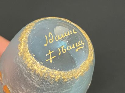 DAUM en verre dégagé à l'acide à décor de...