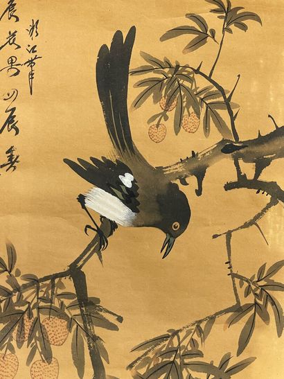 Kakémono japonais XX°.
Pies sur une branche
Aquarelle...