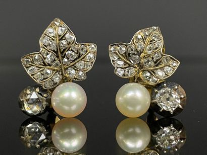 Pair of 