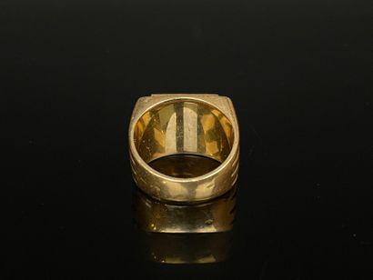 Gold signet ring FP
750°/00 gold.
TDD 60...
