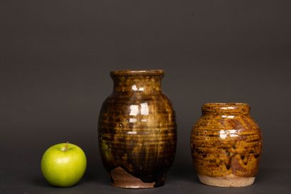 Jean-Michel DOIX (né en 1947).
Deux vases...