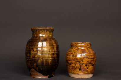 Jean-Michel DOIX (né en 1947).
Deux vases...