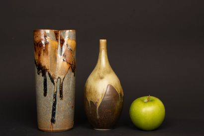 Jean CACHELEUX - Né en 1943. 
Deux vases...