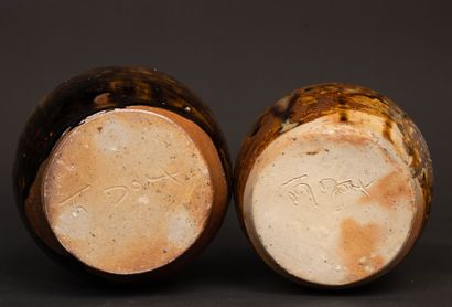 Jean-Michel DOIX (né en 1947).
Deux vases...
