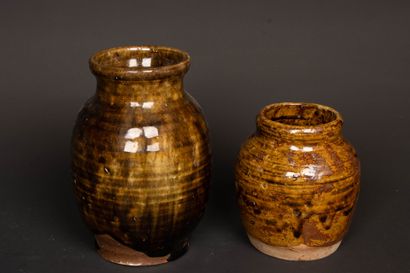 Jean-Michel DOIX (né en 1947).
Deux vases...