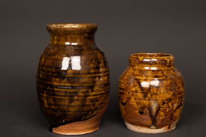 Jean-Michel DOIX (né en 1947).
Deux vases...