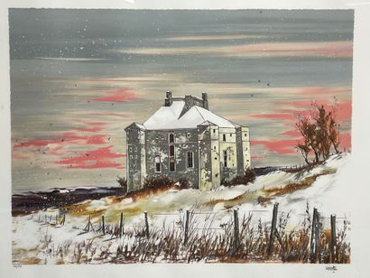 Georges HOSOTTE (né en 1936)
Le chateau de...