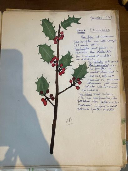 Herbier d'Aquarelles