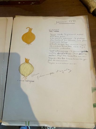 Herbier d'Aquarelles