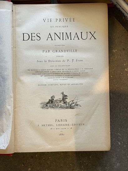 Jules VERNE 
Vingt Mille lieues sous les...