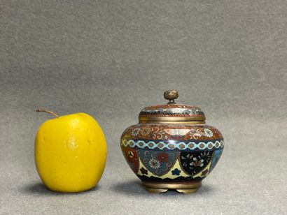 Bonbonnière en émaux cloisonné japonais
H....