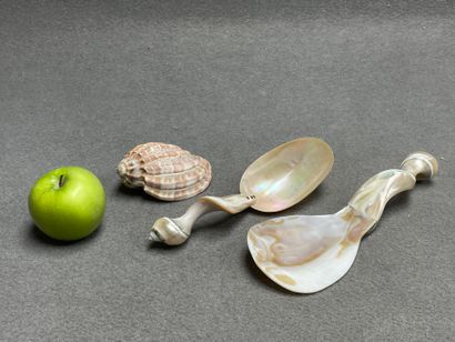 Deux cuillères en nacre et un coquillage....