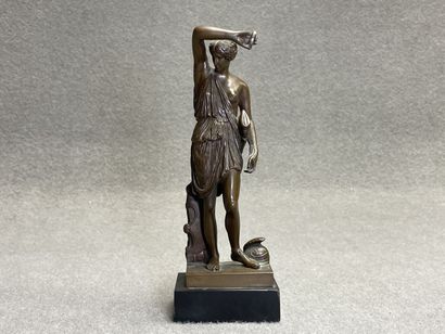 Amazone blessée.
Epreuve en bronze à patine...