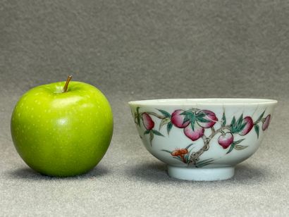 Bol en porcelaine de Chine. à décor de peches...
