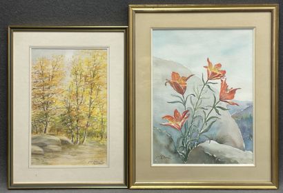 Roger Marcel BIZOT (1911- 2009): 2 oeuvres
-...