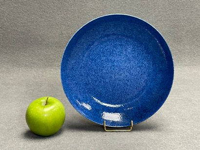 Assiette en porcelaine de Chine. 
D. :20...