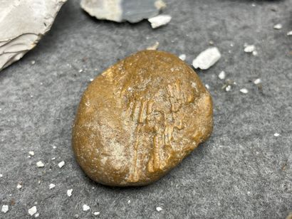 Lot de silex et fossiles. 
H. : de 1 à 8...