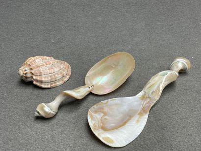 Deux cuillères en nacre et un coquillage....