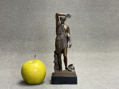 Amazone blessée.
Epreuve en bronze à patine...