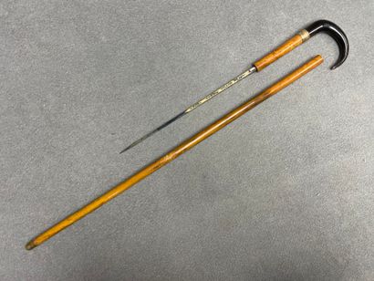 Canne épée .
L. :94 cm.
