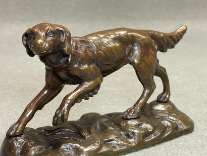Ecole belge XX°
Chien de chasse.
Epreuve...