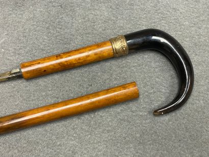 Canne épée .
L. :94 cm.