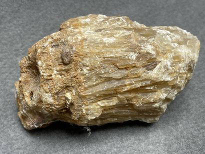 Ensemble de minéraux, fossiles et de coraux....