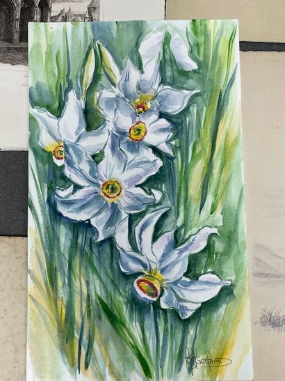 Ensembles de dessins, aquarelles, gravures...