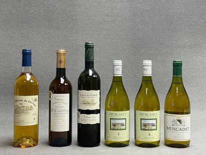 6 bouteilles: 
-Cuvée spéciale de Durban,...