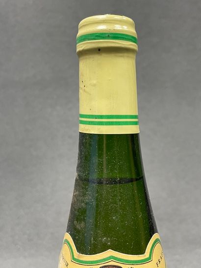 10 bouteilles : 
-Muscat, Vin d'Alsace, 1998....