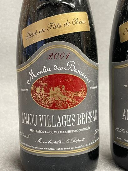 ANJOU VILLAGES BRISSAC;
Moulin des Besneries...