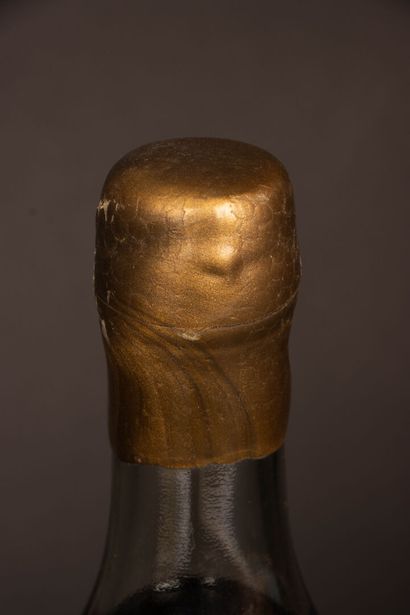 Bas-Armagnac. 
Château de Laubade 1975. 
70...
