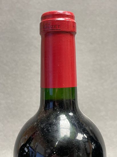 CHATEAU HAUT-MARBUZET 3 bouteilles.
1 bouteille...