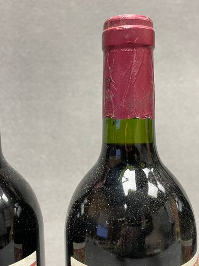 BERGERAC. Domaine Pierre Chanau. 2004. 8...