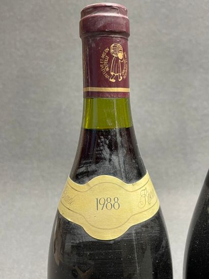 GIGONDAS: 9 bouteilles: 
-Domaine du Pesquier,...