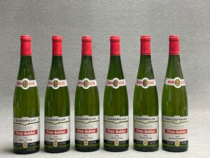 Frey-Sohler, Riesling, 2008, 6 bouteille...