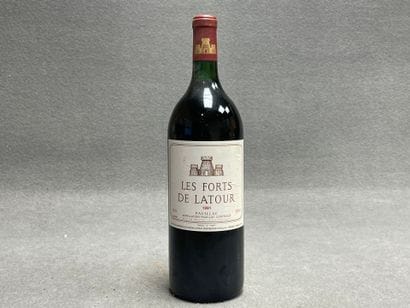 Les Forts de Latour. 1991. 1 Magnum.