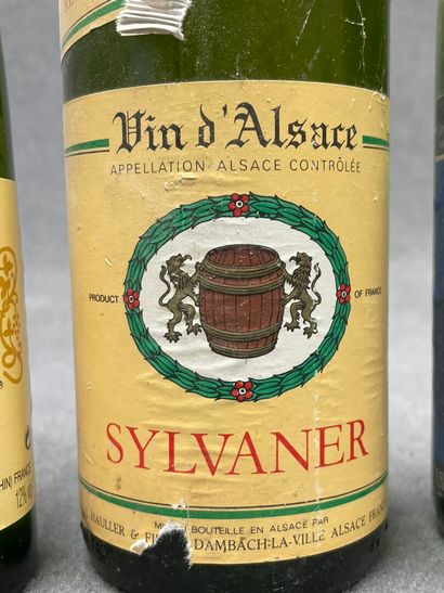 10 bouteilles : 
-Muscat, Vin d'Alsace, 1998....