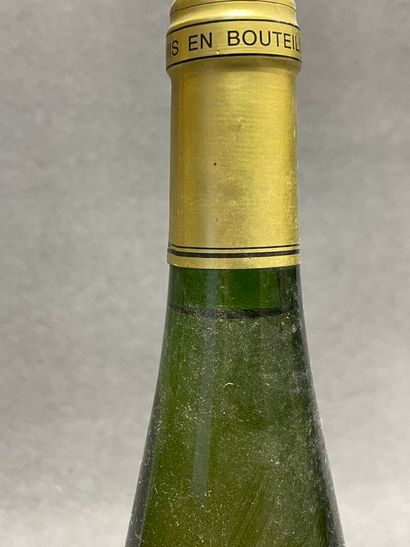 10 bouteilles : 
-Muscat, Vin d'Alsace, 1998....