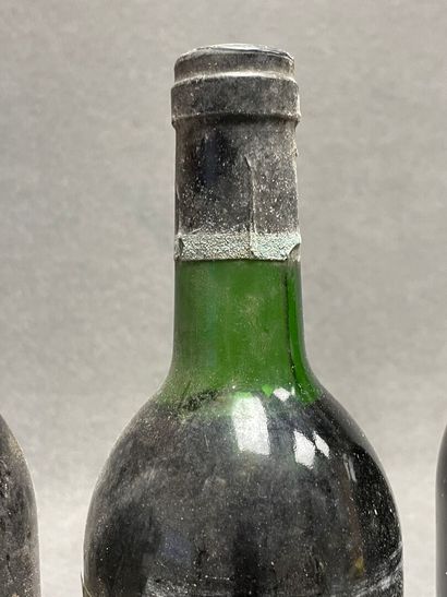 8 bouteilles: 
Chateau Olivier 1982, Condrieu...