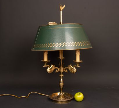 Large three-light bronze hot-water bottle...