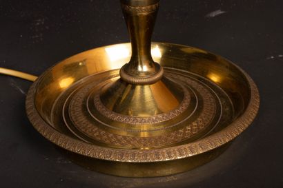 Large three-light bronze hot-water bottle...