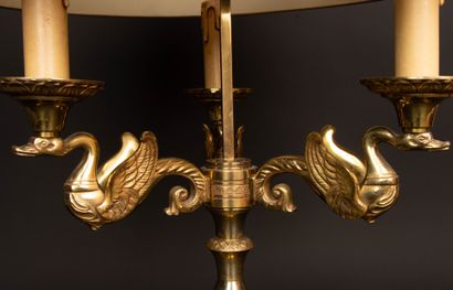 Large three-light bronze hot-water bottle...