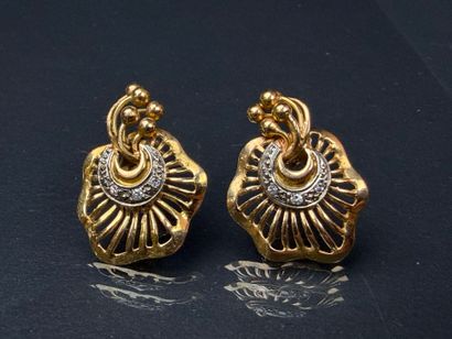 Paire de boucles d'oreilles pour oreilles...