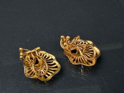 Paire de boucles d'oreilles pour oreilles...